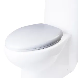 EAGO R-309SEAT Replacement Soft Closing Toilet Seat for TB309