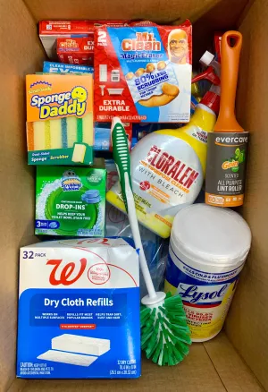 Household Cleaning Products: Assorted Box