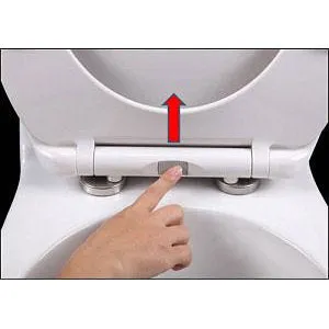 Soft Close Toilet Seat